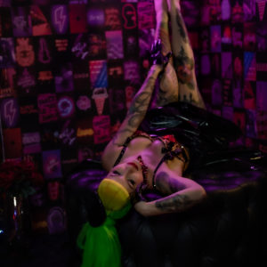 Honey laying with legs up